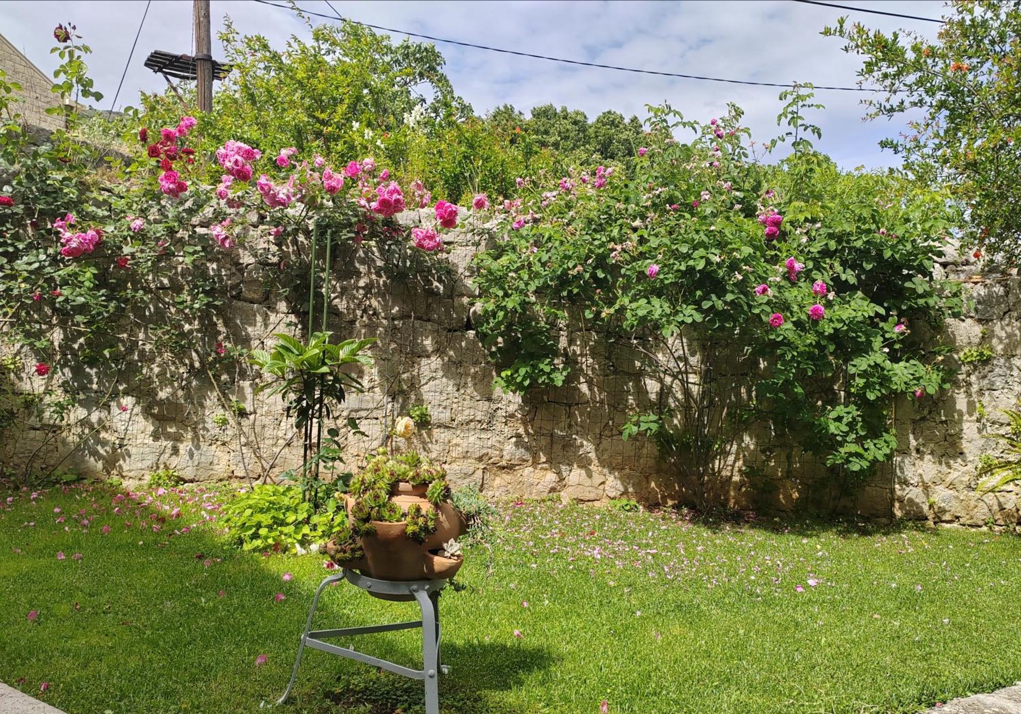Dubrovnik House - Leni Apartment Komolac ภายนอก รูปภาพ